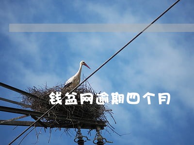 钱盆网逾期四个月 钱盆网逾期四个月