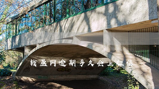 钱盆网逾期多久会上征信 钱盆网逾期多久会上征信