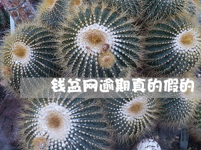 钱盆网逾期真的假的 钱盆网逾期真的假的