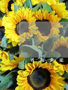 钱真多能减免逾期费吗 钱真多能减免逾期费吗
