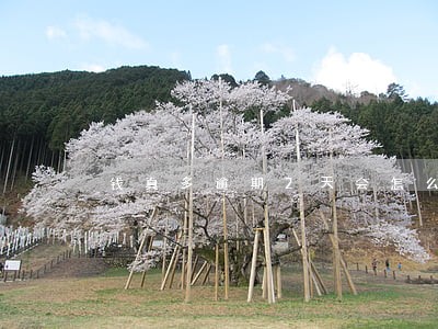 钱真多逾期2天会怎么样 钱真多逾期2天会怎么样