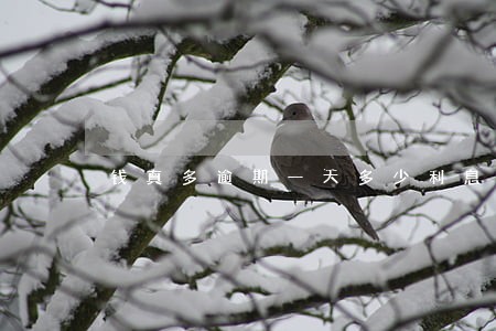 钱真多逾期一天多少利息 钱真多逾期一天多少利息