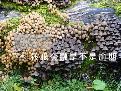 钱眼金融是不是逾期 钱眼金融是不是逾期
