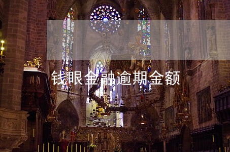 钱眼金融逾期金额 钱眼金融逾期金额