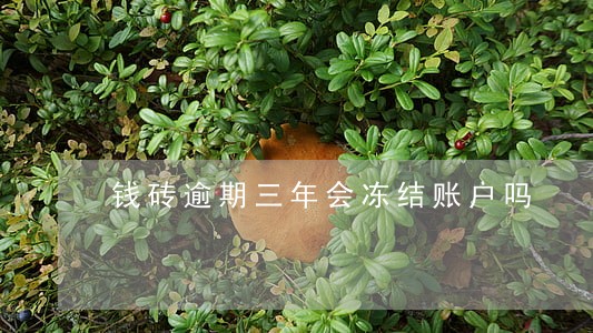 钱砖逾期三年会冻结账户吗 钱砖逾期三年会冻结账户吗