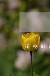 钱秒借逾期一个月会怎样 钱秒借逾期一个月会怎样