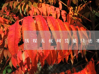 钱程无忧网贷能只还本金吗 钱程无忧网贷能只还本金吗