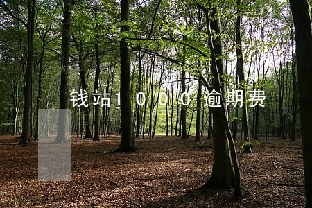 钱站1000逾期费 钱站1000逾期费