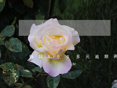 钱站500多元逾期两年 钱站500多元逾期两年