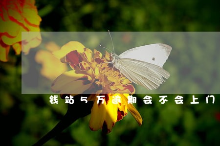 钱站5万逾期会不会上门6 钱站5万逾期会不会上门6