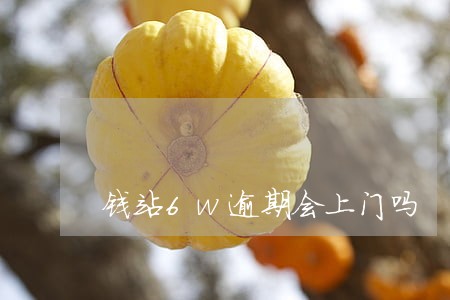 钱站6w逾期会上门吗 钱站6w逾期会上门吗