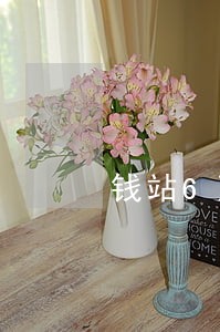 钱站6万逾期上门吗 钱站6万逾期上门吗