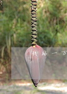 钱站一万多逾期两年怎么办 钱站一万多逾期两年怎么办