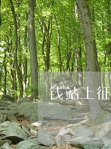 钱站上征信但是没有逾期记录 钱站上征信但是没有逾期记录