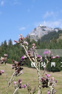 钱站两万逾期一年要还多少 钱站两万逾期一年要还多少