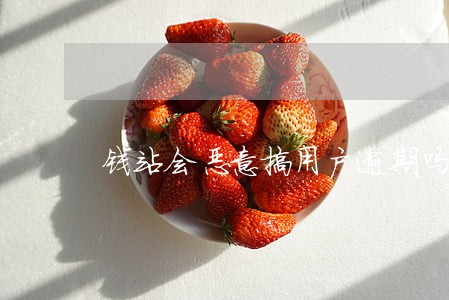 钱站会恶意搞用户逾期吗 钱站会恶意搞用户逾期吗