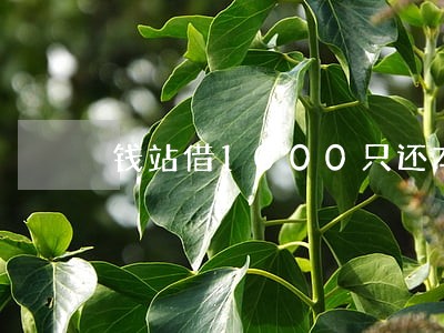 钱站借1000只还本金 钱站借1000只还本金
