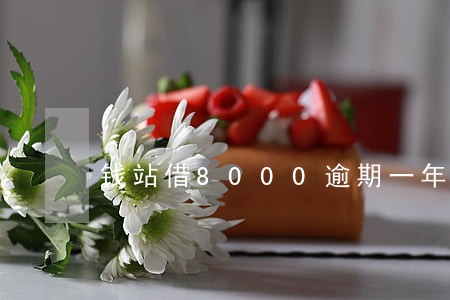 钱站借8000逾期一年要还多少