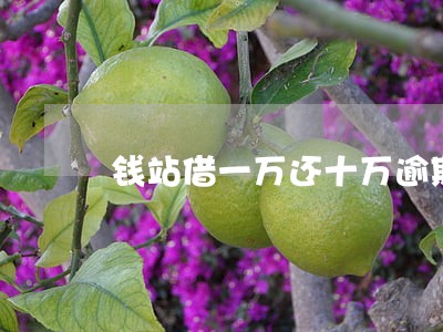 钱站借一万还十万逾期 钱站借一万还十万逾期