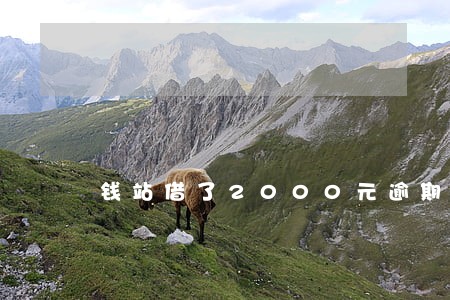 钱站借了2000元逾期三天了 钱站借了2000元逾期三天了