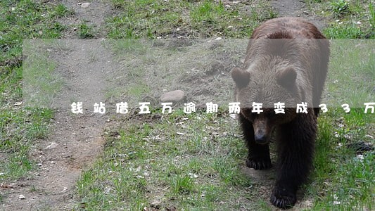 钱站借五万逾期两年变成33万 钱站借五万逾期两年变成33万