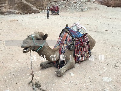 钱站借款1万逾期 钱站借款1万逾期
