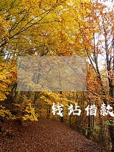 钱站借款8万逾期半年 钱站借款8万逾期半年
