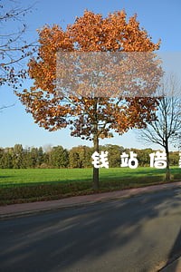钱站借款逾期25个月 钱站借款逾期25个月
