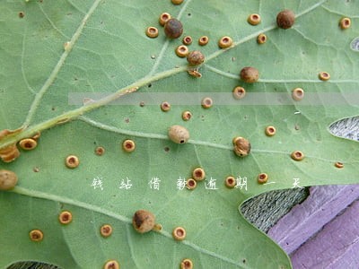 钱站借款逾期一天 钱站借款逾期一天