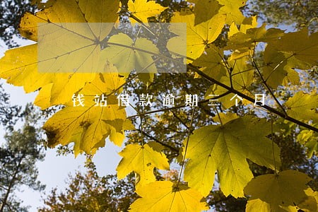 钱站借款逾期三个月 钱站借款逾期三个月