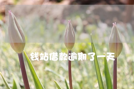 钱站借款逾期了一天 钱站借款逾期了一天