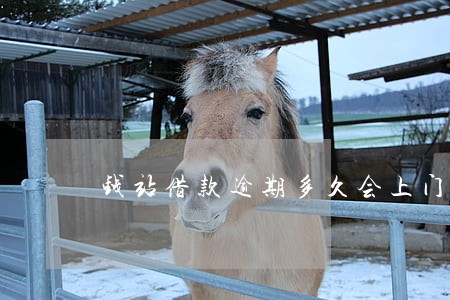 钱站借款逾期多久会上门 钱站借款逾期多久会上门