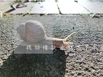 钱站借款逾期还不上会坐牢吗