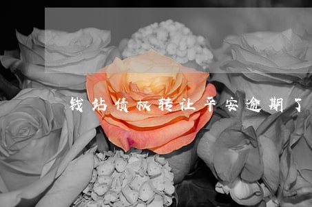 钱站债权转让平安逾期了4年 钱站债权转让平安逾期了4年