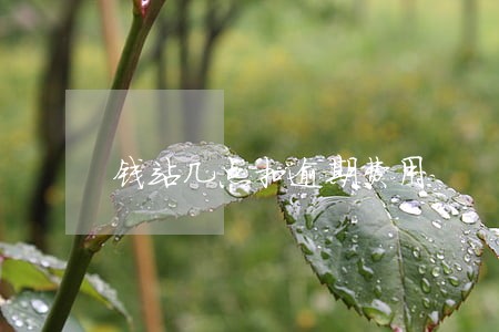 钱站几点扣逾期费用 钱站几点扣逾期费用