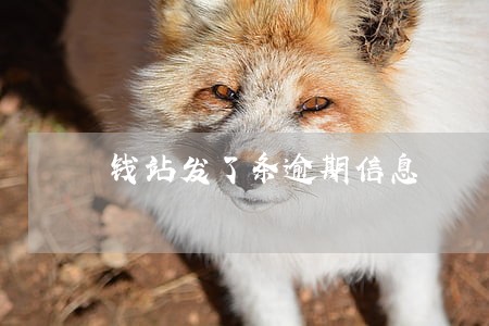 钱站发了条逾期信息 钱站发了条逾期信息