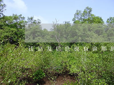 钱站发信息说有逾期历史 钱站发信息说有逾期历史