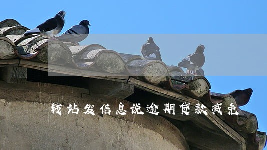 钱站发信息说逾期贷款减免 钱站发信息说逾期贷款减免