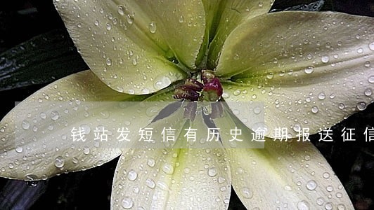 钱站发短信有历史逾期报送征信 钱站发短信有历史逾期报送征信