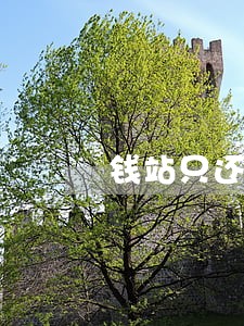 钱站只还本金可以么 钱站只还本金可以么