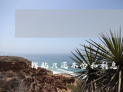 钱站只还本金和利息 钱站只还本金和利息