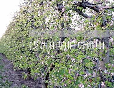 钱站和拍拍贷逾期 钱站和拍拍贷逾期