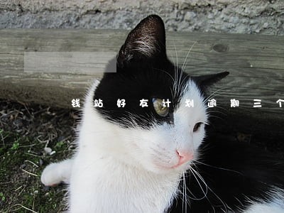 钱站好友计划逾期三个月 钱站好友计划逾期三个月