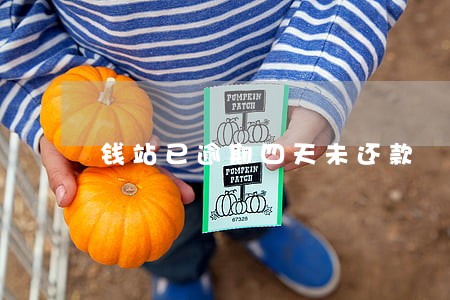 钱站已逾期四天未还款 钱站已逾期四天未还款