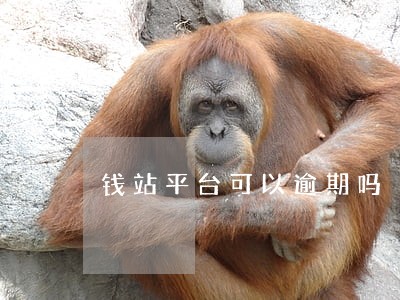 钱站平台可以逾期吗 钱站平台可以逾期吗