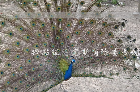 钱站征信逾期消除要多久 钱站征信逾期消除要多久