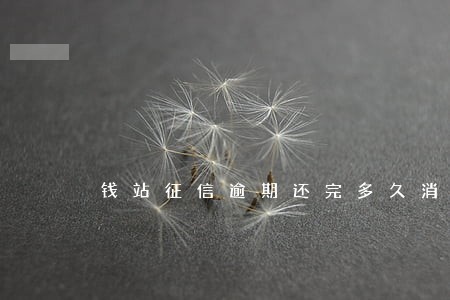 钱站征信逾期还完多久消除 钱站征信逾期还完多久消除
