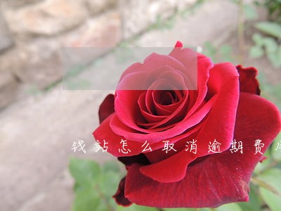 钱站怎么取消逾期费用 钱站怎么取消逾期费用