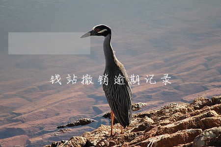 钱站撤销逾期记录 钱站撤销逾期记录