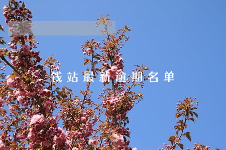 钱站最新逾期名单 钱站最新逾期名单